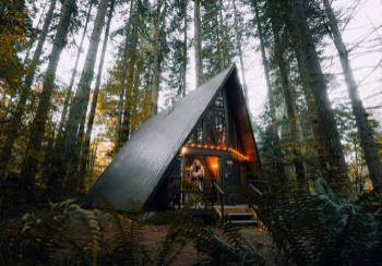 Untitled design (16)